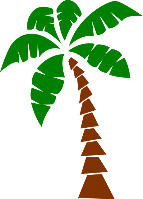 Free download Palm - Free vector graphic on Pixabay free illustration to be edited with GIMP free online image editor