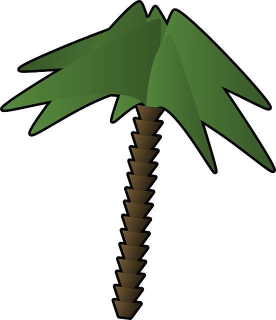 Free download Palm Tree Green - Free vector graphic on Pixabay free illustration to be edited with GIMP free online image editor