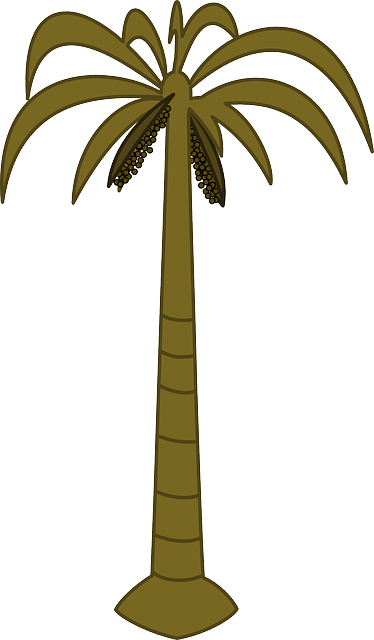 Free download Palm Tree Tropical - Free vector graphic on Pixabay free illustration to be edited with GIMP free online image editor