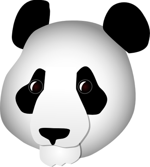 Free download Panda Head Bear -  free illustration to be edited with GIMP free online image editor