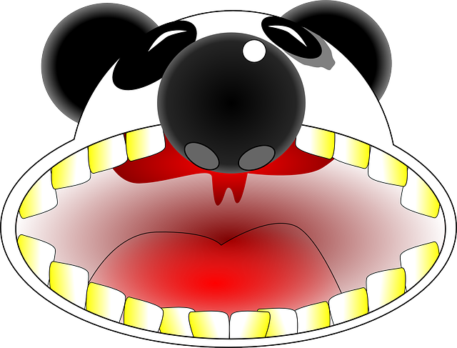 Free download Panda Mouth Teeth - Free vector graphic on Pixabay free illustration to be edited with GIMP free online image editor