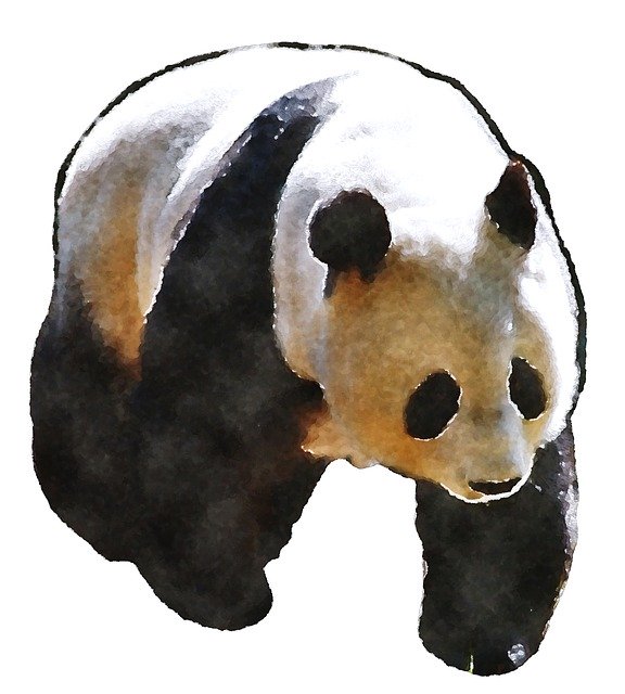 Free download Panda Watercolor Oekaki -  free illustration to be edited with GIMP free online image editor