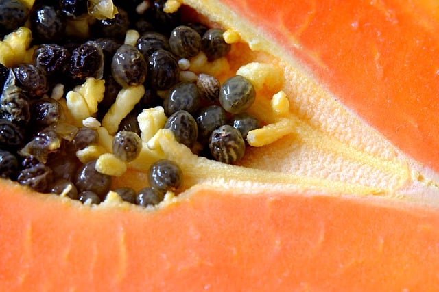 Free download papaya seeds fruits fresh ripe free picture to be edited with GIMP free online image editor