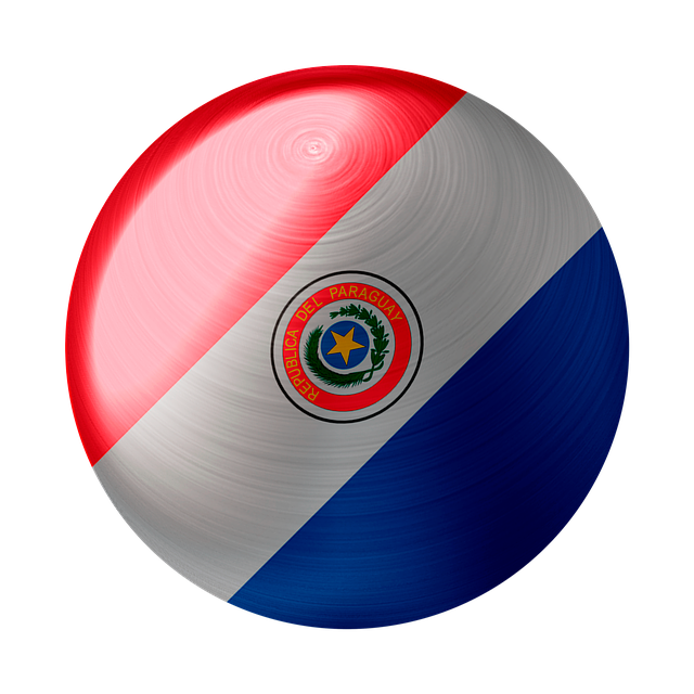 Free download Paraguay Flag Country -  free illustration to be edited with GIMP free online image editor