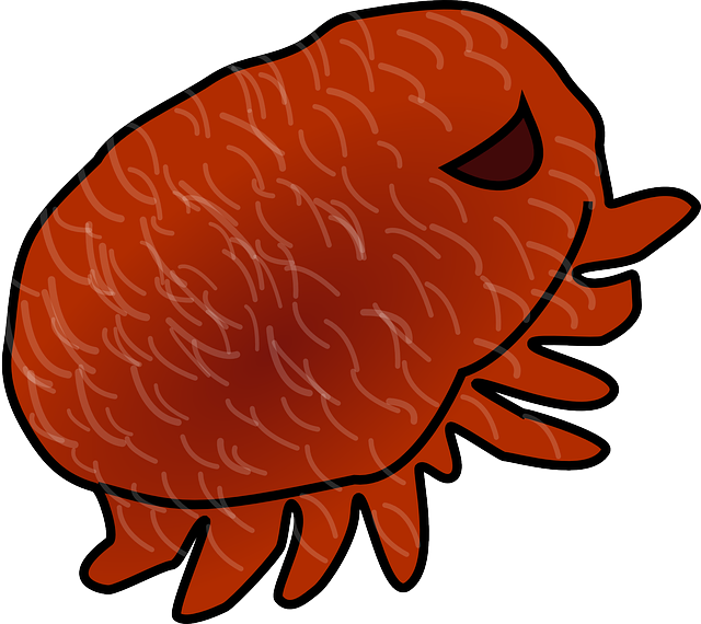 Free download Parasite Louse - Free vector graphic on Pixabay free illustration to be edited with GIMP free online image editor