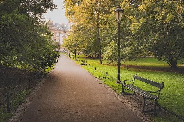 Скачать бесплатно Park Bench Path - бесплатное фото или изображение для редактирования с помощью онлайн-редактора изображений GIMP