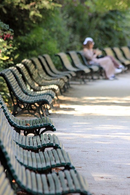 Free download park bench woman tranquility sit free picture to be edited with GIMP free online image editor