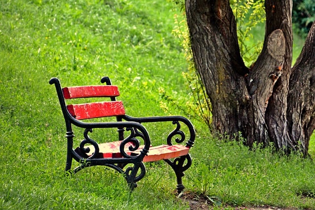 Free download park red bench seat walk free picture to be edited with GIMP free online image editor