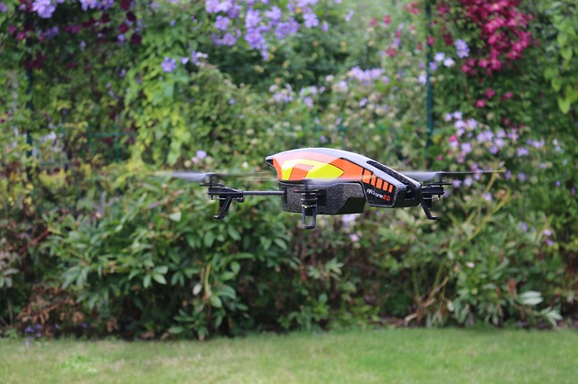 Free download parrot parrot ar drone free picture to be edited with GIMP free online image editor