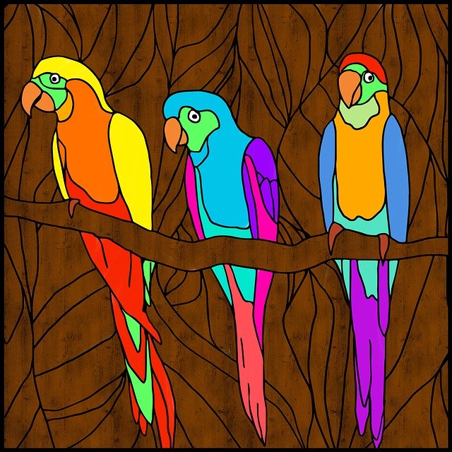 Free download Parrots Birds Bright -  free illustration to be edited with GIMP free online image editor