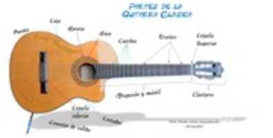 Free download Partes De La Guitarra Clasica free photo or picture to be edited with GIMP online image editor