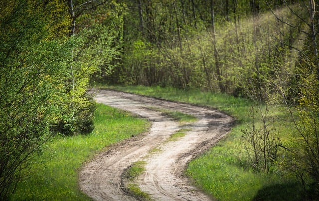 Free download path road forest leaves nature free picture to be edited with GIMP free online image editor