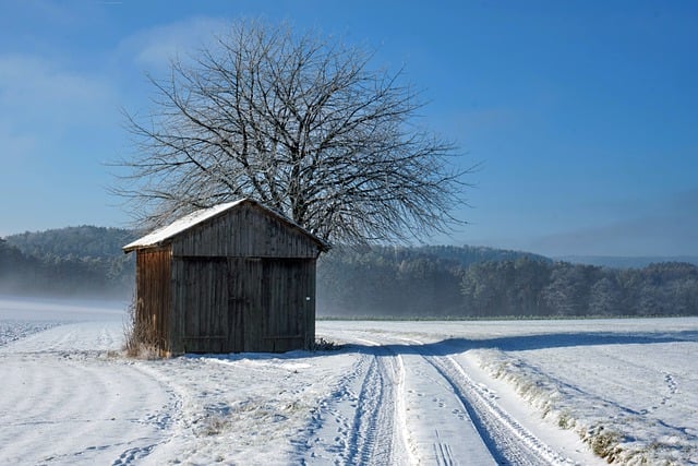 Free download path tree hut barn snow free picture to be edited with GIMP free online image editor