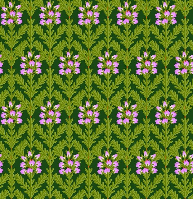 Free download Pattern Nature Texture -  free illustration to be edited with GIMP free online image editor