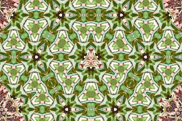 Free download Pattern Ornament Flower -  free illustration to be edited with GIMP free online image editor