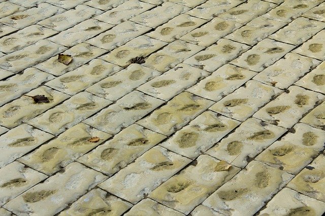 Free download Pavement Tile Stone -  free photo or picture to be edited with GIMP online image editor