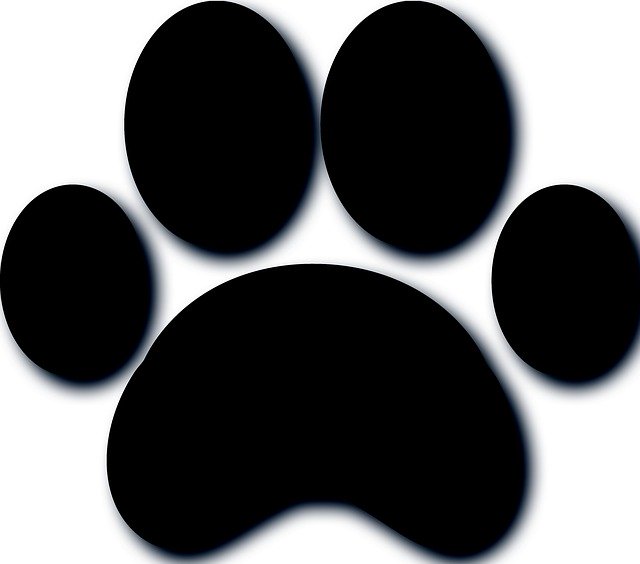 Free download Paw Dog Texture -  free illustration to be edited with GIMP free online image editor