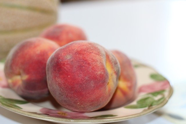 Free download Peach Fruit Organic free photo template to be edited with GIMP online image editor