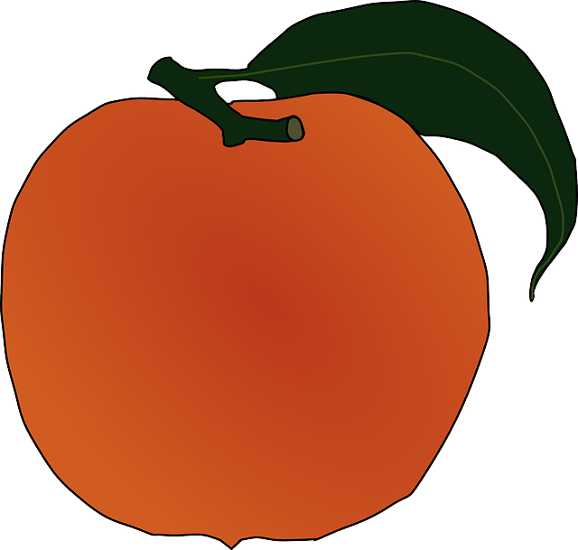 Free download Peach Fruit Ripe - Free vector graphic on Pixabay free illustration to be edited with GIMP free online image editor