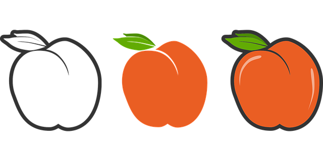 Free download Peach Fruit The - Free vector graphic on Pixabay free illustration to be edited with GIMP free online image editor