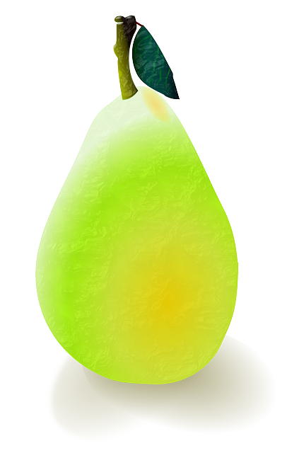 Free download Pear Fruit Leaf - Free vector graphic on Pixabay free illustration to be edited with GIMP free online image editor