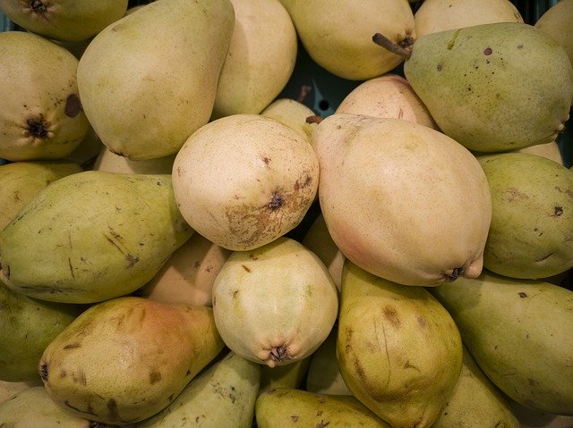 Free download Pear Fruit Vegetable -  free photo or picture to be edited with GIMP online image editor