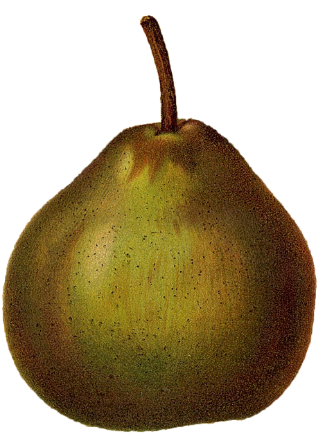 Free download Pear Graphics Illustrator Graphic -  free illustration to be edited with GIMP free online image editor