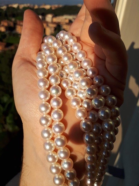 Free download Pearl Pearls Jewelry -  free photo or picture to be edited with GIMP online image editor