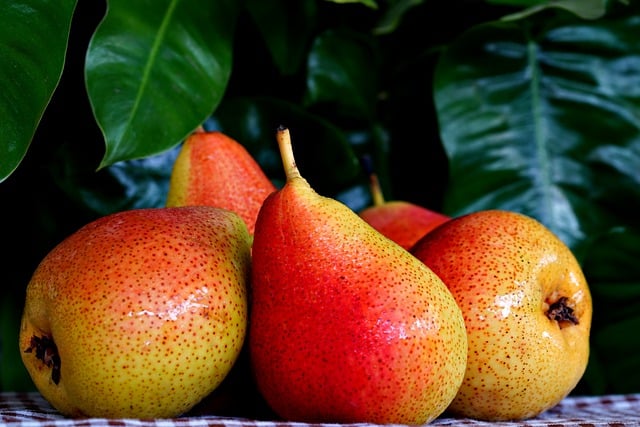 Free download pears fruits food produce free picture to be edited with GIMP free online image editor