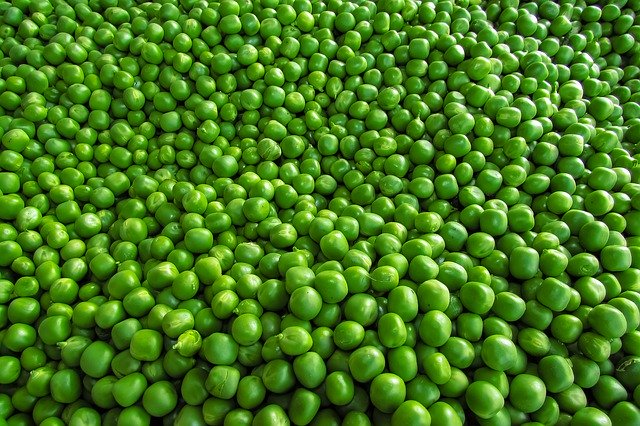 Free download Peas Vegetable Healthy -  free photo or picture to be edited with GIMP online image editor