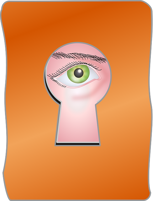 Free download Peek Watch Eye - Free vector graphic on Pixabay free illustration to be edited with GIMP free online image editor