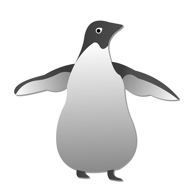 Free download Penguin Animal -  free illustration to be edited with GIMP free online image editor