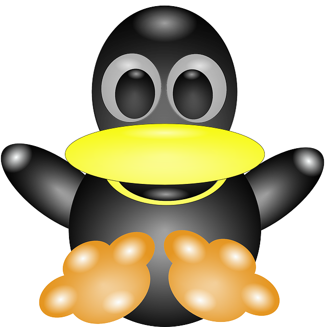 Free download Penguin Bird Cartoon - Free vector graphic on Pixabay free illustration to be edited with GIMP free online image editor