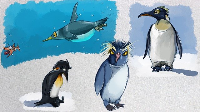 Free download Penguin Underwater Fish -  free illustration to be edited with GIMP free online image editor