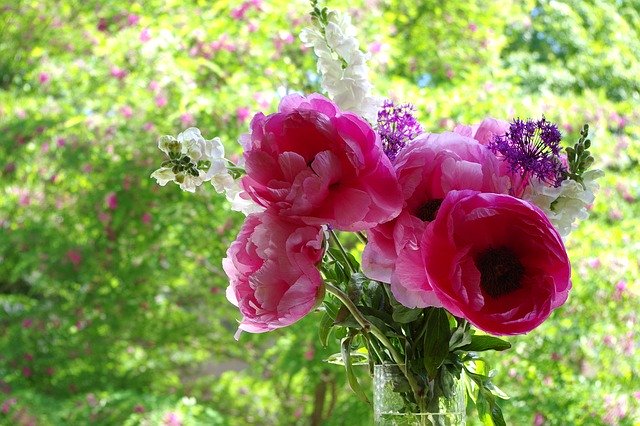 Free download Peony Spring Bouquet -  free photo or picture to be edited with GIMP online image editor