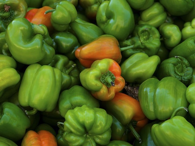 Free download pepper vegetable green agriculture free picture to be edited with GIMP free online image editor