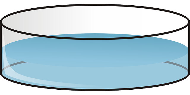 Free download Petri Petrie Dish - Free vector graphic on Pixabay free illustration to be edited with GIMP free online image editor