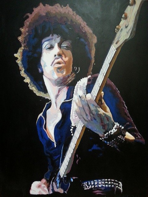 Free download Phil Lynnott Musician Portrait -  free illustration to be edited with GIMP free online image editor