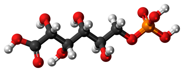 Free download Phosphogluconic Acid -  free illustration to be edited with GIMP free online image editor