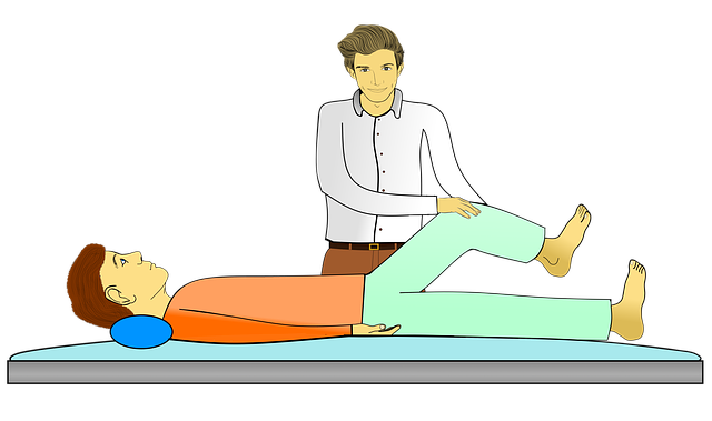 Free download Physiotherapy Gymnastics Doctor -  free illustration to be edited with GIMP free online image editor