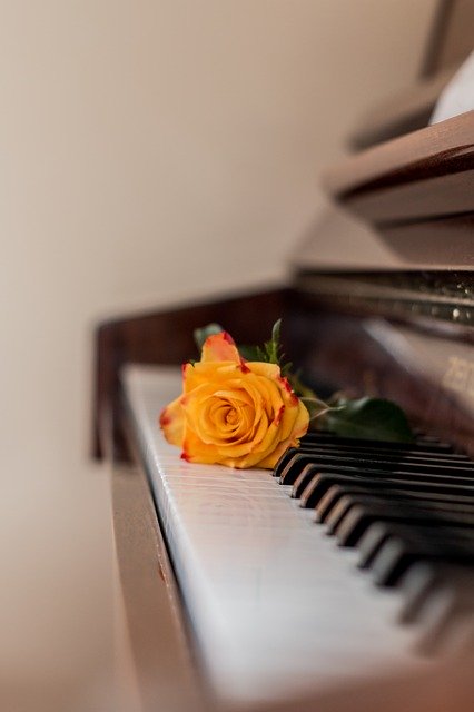 Free download Piano Music Rose -  free photo or picture to be edited with GIMP online image editor