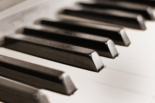 Free download piano piano keys musical instrument free picture to be edited with GIMP free online image editor