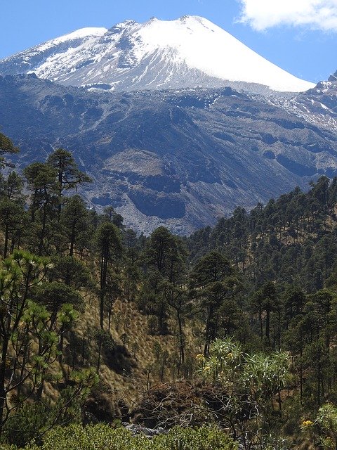 Free download Pico De Orizaba Mountain Forest -  free photo or picture to be edited with GIMP online image editor