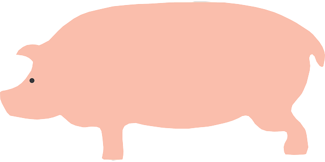 Free download Pig Animal Pink - Free vector graphic on Pixabay free illustration to be edited with GIMP free online image editor