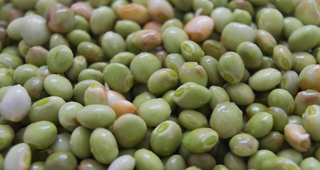 Free download Pigeon Peas Green -  free photo or picture to be edited with GIMP online image editor