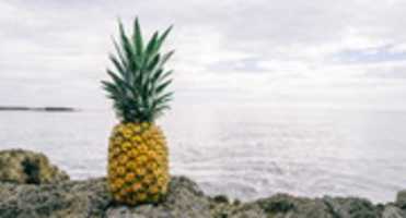 Free download pinapple free photo or picture to be edited with GIMP online image editor