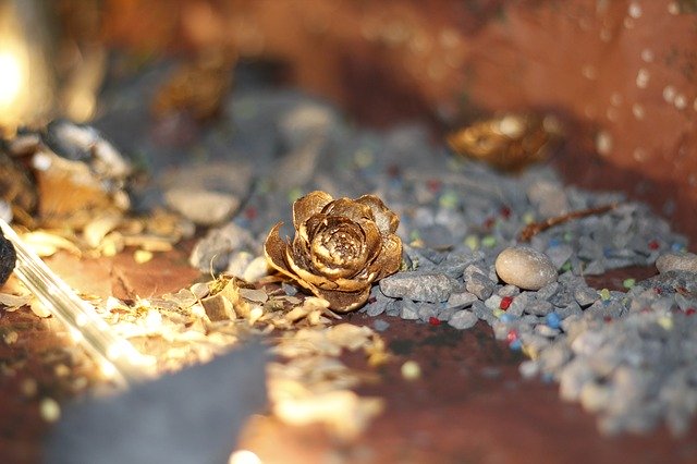 Free download Pinecone Pebbles Lighting -  free photo or picture to be edited with GIMP online image editor