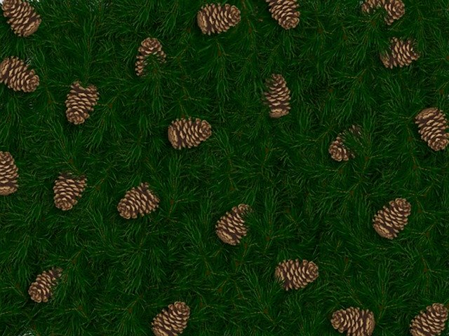 Free download Pine Cones -  free illustration to be edited with GIMP free online image editor