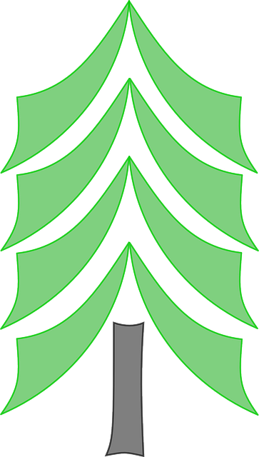 Free download Pine Tree Conifer - Free vector graphic on Pixabay free illustration to be edited with GIMP free online image editor