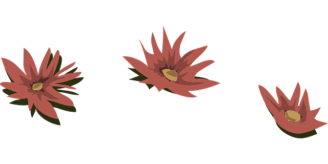 Free download Pink Flowers Water Lilies - Free vector graphic on Pixabay free illustration to be edited with GIMP free online image editor